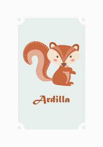 Ardilla