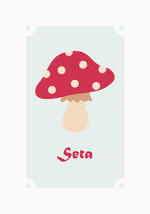 Seta