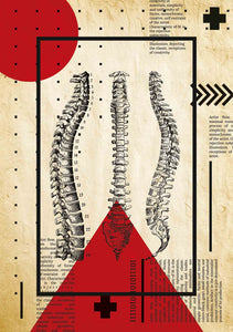 Columnas vertebrales