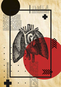 Pulmones y corazón