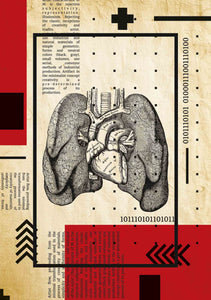 Sección pulmonar