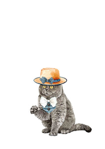 Gato con sombrero