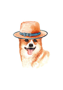 Perro con sombrero