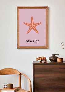 Sea Life: Starfish