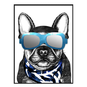 Bulldog frances con gafas