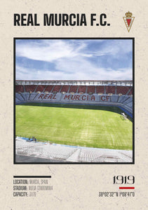 Estadio Nueva Condominia