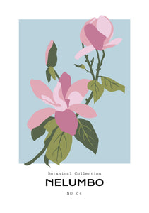 Nelumbo