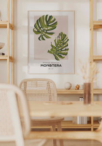 Monstera