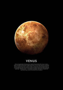 Comprar decoracion Venus